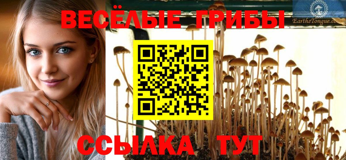 купить наркотики цена  Вход с VPN  Нурлат  Псилоцибиновые грибы GOLDEN TEACHER  Псилоцибиновые грибы мухоморы 