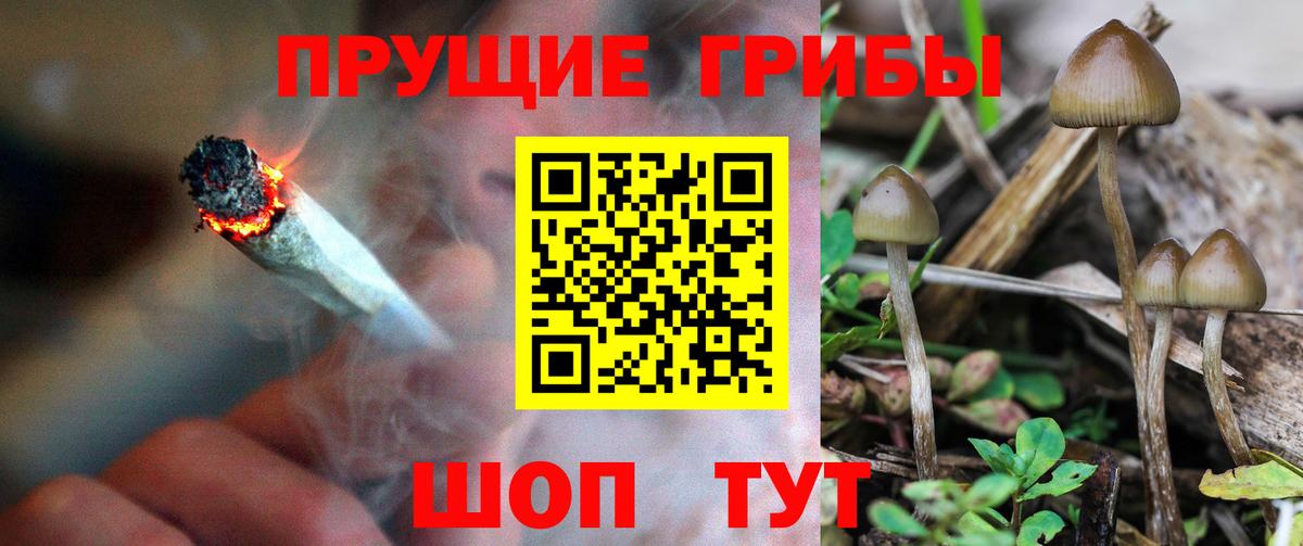 Псилоцибиновые грибы мицелий Нурлат