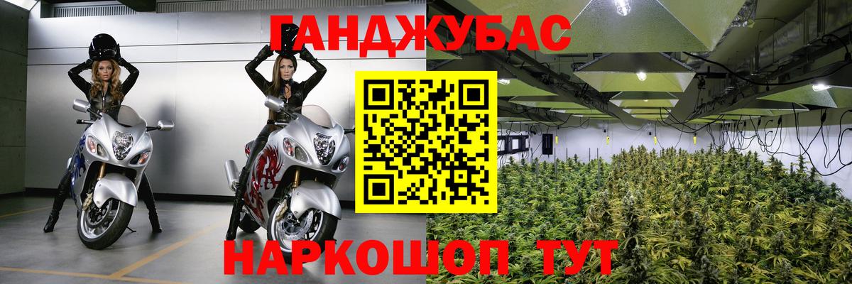 Конопля планчик Нурлат